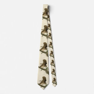 Barred Owl, John James Audubon's Birds of America Tie