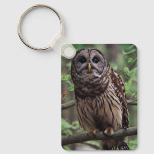 Barred Owl Keychain