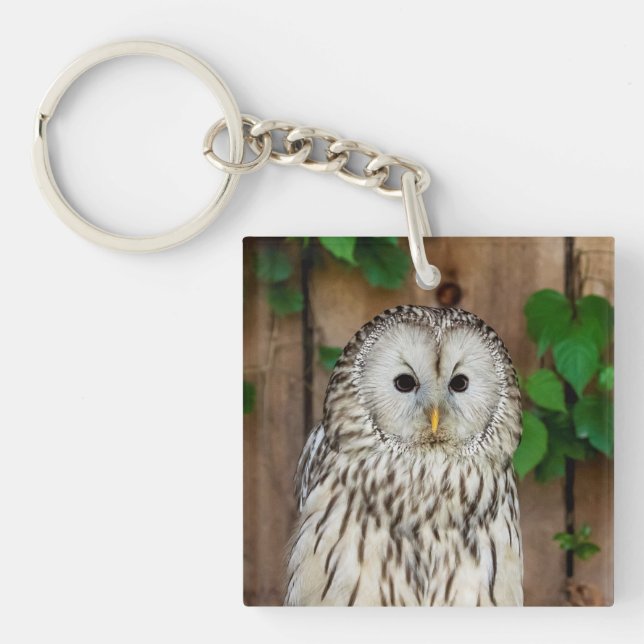 Barred Owl Keychain (Front)
