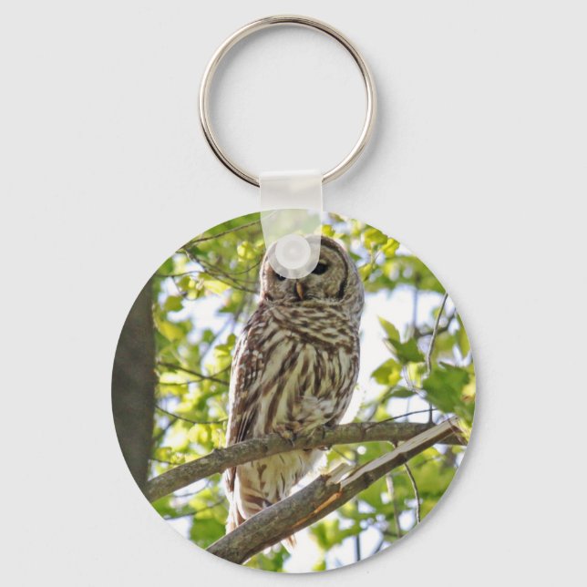 Barred Owl Keychain (Front)