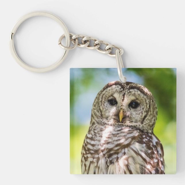 Barred Owl Keychain (Front)