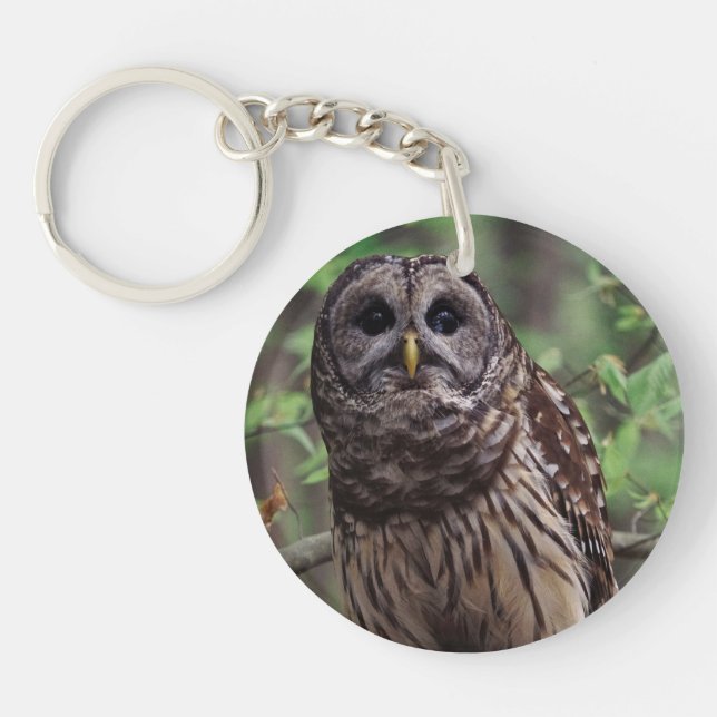 Barred Owl Keychain (Front)