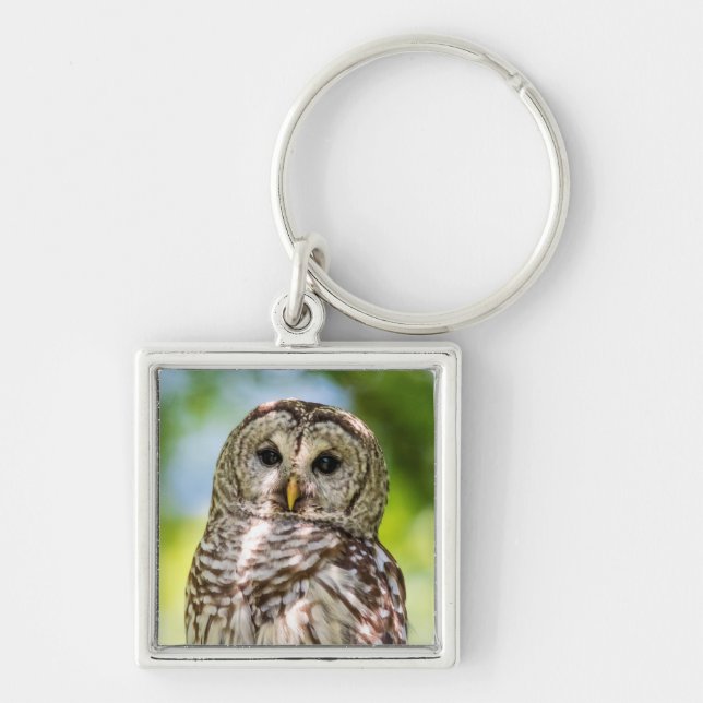 Barred Owl Keychain (Front)