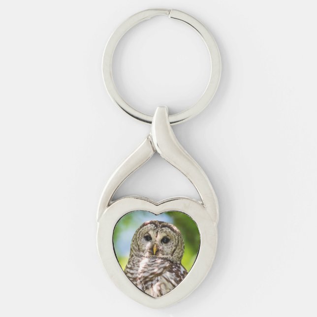 Barred Owl Keychain (Front)