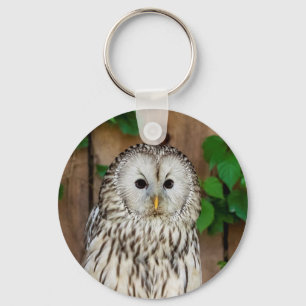 Barred Owl Keychain