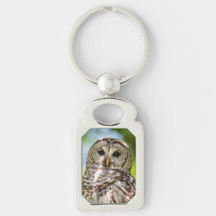 Barred Owl Keychain