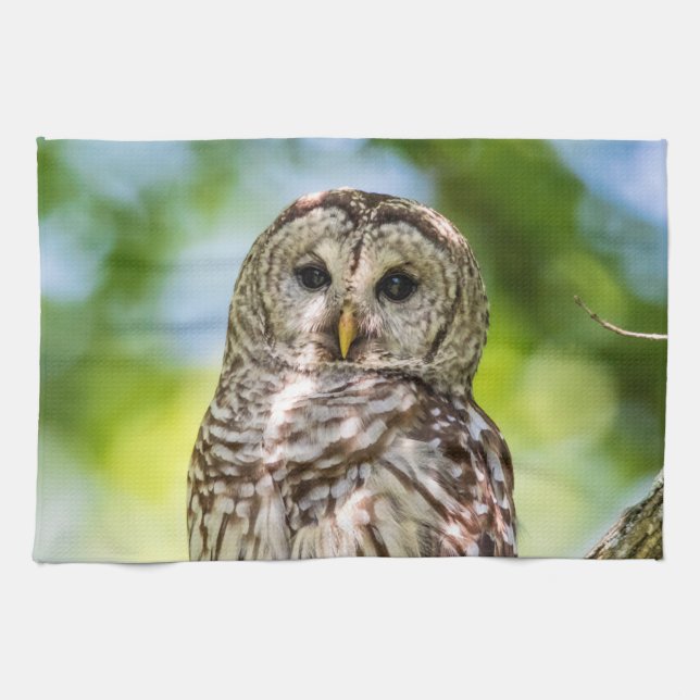 Barred Owl Kitchen Towel (Horizontal)