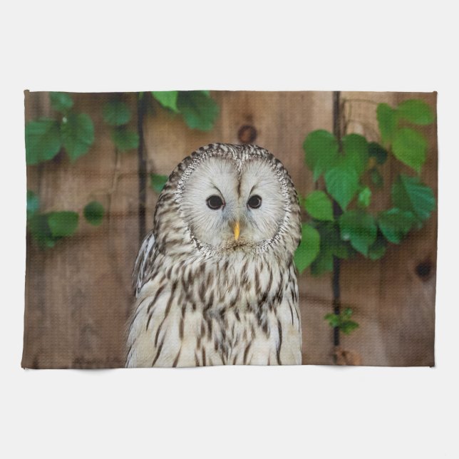 Barred Owl Kitchen Towel (Horizontal)
