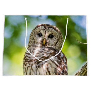 Barred Owl Large Gift Bag