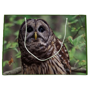 Barred Owl Large Gift Bag
