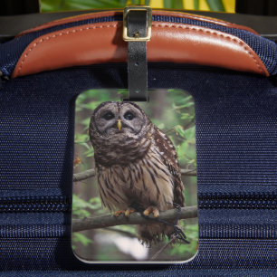Barred Owl Luggage Tag