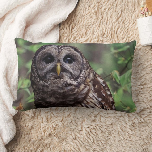 Barred Owl Lumbar Pillow (Blanket)