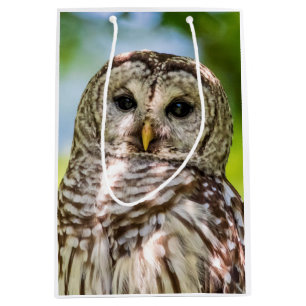 Barred Owl Medium Gift Bag