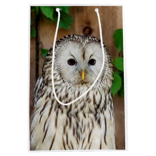 Barred Owl Medium Gift Bag (Front)