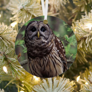 Barred Owl Metal Ornament
