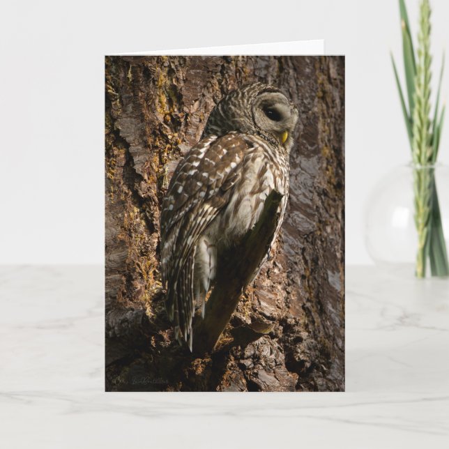 Barred Owl Mom Thank You Card (Front)