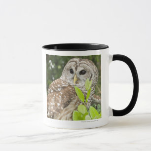 Barred Owl Mug