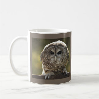 Barred Owl Mug