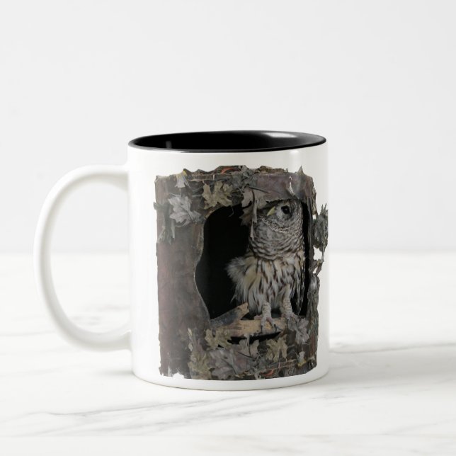 Barred Owl Mug - Vous regardez ! (Gauche)
