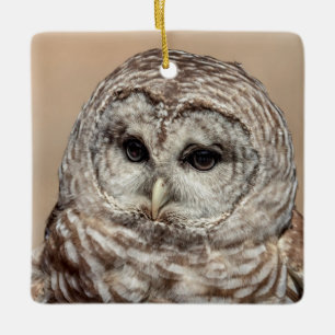 Barred Owl of the Hudson Valley – Nature & Wildlif Ceramic Ornament