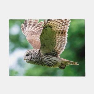 Barred Owl of the Hudson Valley – Nature & Wildlif Doormat