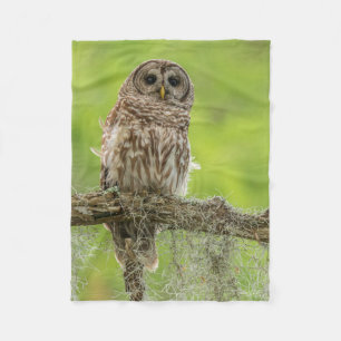 Barred Owl On Tree Limb Fleece Blanket