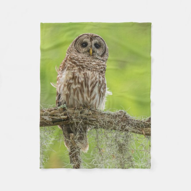 Barred Owl On Tree Limb Fleece Blanket (Front)