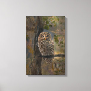 Barred Owl Painting 14 x 28 Canvas Print