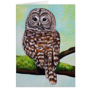 Barred Owl Painting Greeting Card
