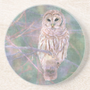 Barred Owl Pastel Digital Oilpainting Coaster
