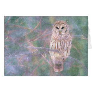Barred Owl Pastel Oilpaint