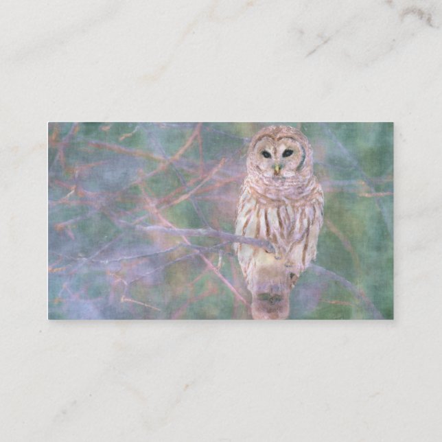 Barred Owl Pastel Oilpainting Business Card (Back)