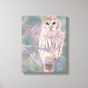 Barred Owl Pastel Oilpainting Canvas Print