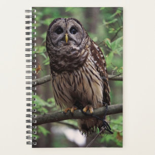 Barred Owl Planner