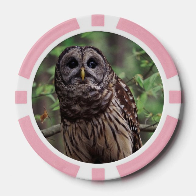 Barred Owl Poker Chips (Front)