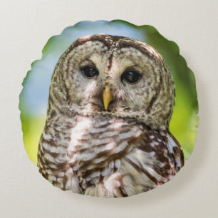 Barred Owl Round Pillow