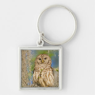 Barred Owl (Strix varia) perched in cypress tree Keychain