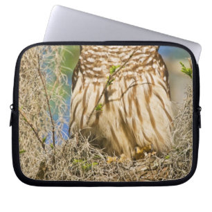 Barred Owl (Strix varia) perched in cypress tree Laptop Sleeve