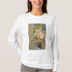 Barred Owl (Strix varia) perched in cypress tree T-Shirt