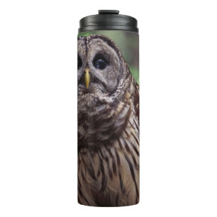 Barred Owl Thermal Tumbler