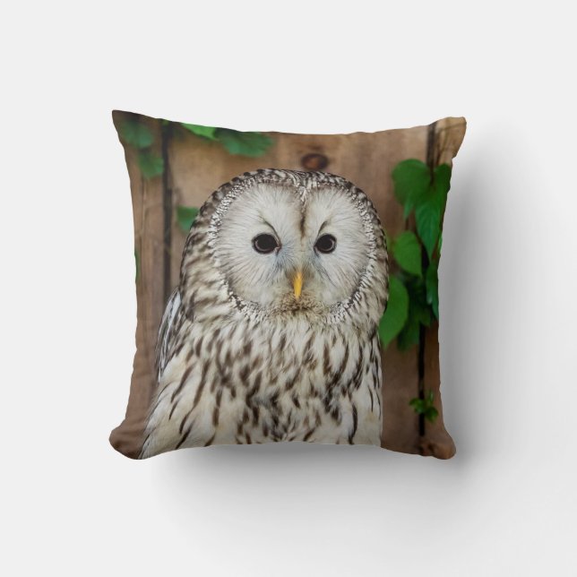 Barred Owl Throw Pillow (Front)