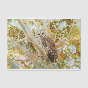 Barred Owl Tissue Paper