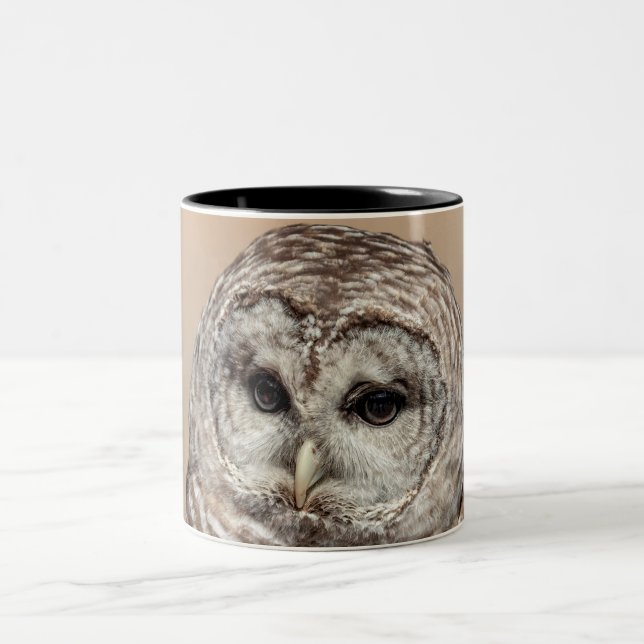 Barred Owl Two-Tone Coffee Mug (Center)