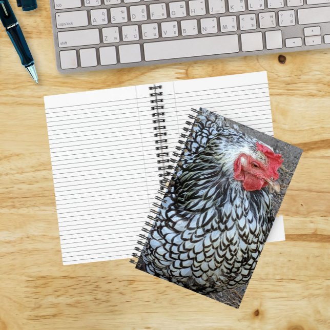 Barred Plymouth Rock Chicken Notebook (In Situ)