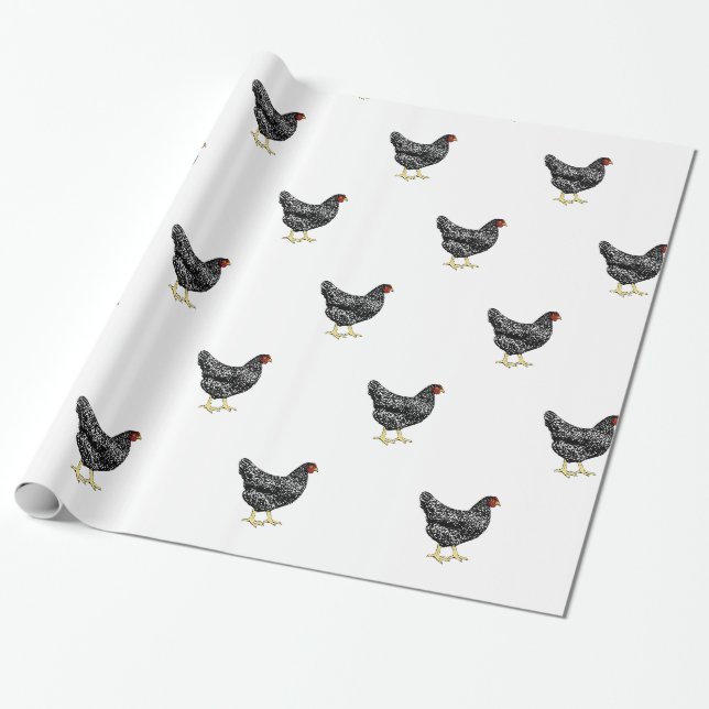 Barred Plymouth Rock Heritage Breed Chickens Wrapping Paper (Unrolled)