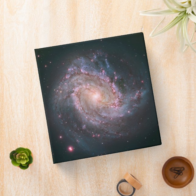 Barred Spiral Galaxy Messier 83. 2 Binder (In Situ)