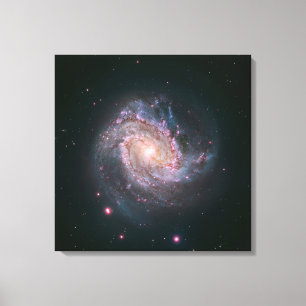 Barred Spiral Galaxy Messier 83. 2 Canvas Print