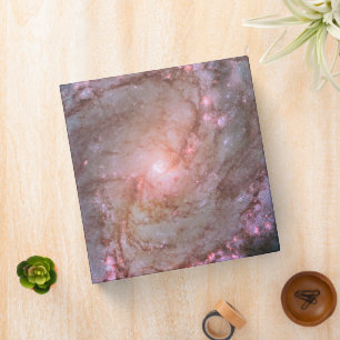 Barred Spiral Galaxy Messier 83. Binder