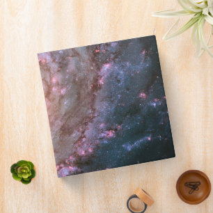 Barred Spiral Galaxy Messier 83. Binder
