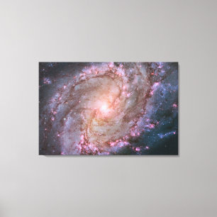 Barred Spiral Galaxy Messier 83. Canvas Print